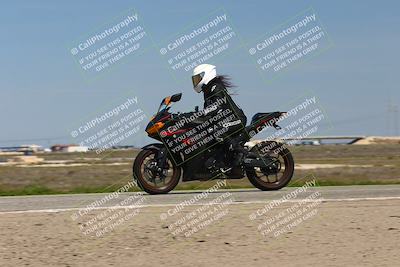 media/Mar-23-2025-TrackDaz (Sun) [[88a7749186]]/C Group/1240pm (Wheelie Bump)/